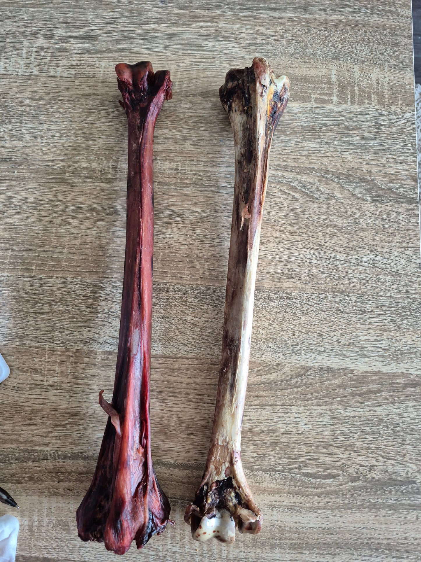 Long Ostrich Bone (50cm)