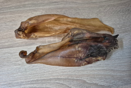 Large Cow Ear