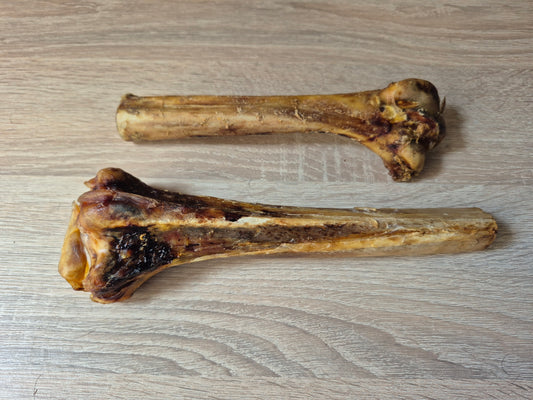 Ostrich Bone (25cm)