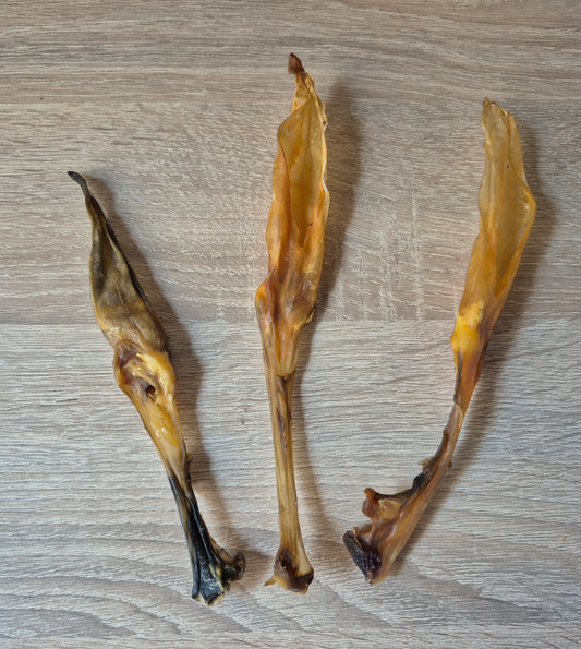 Plain Rabbit Ear