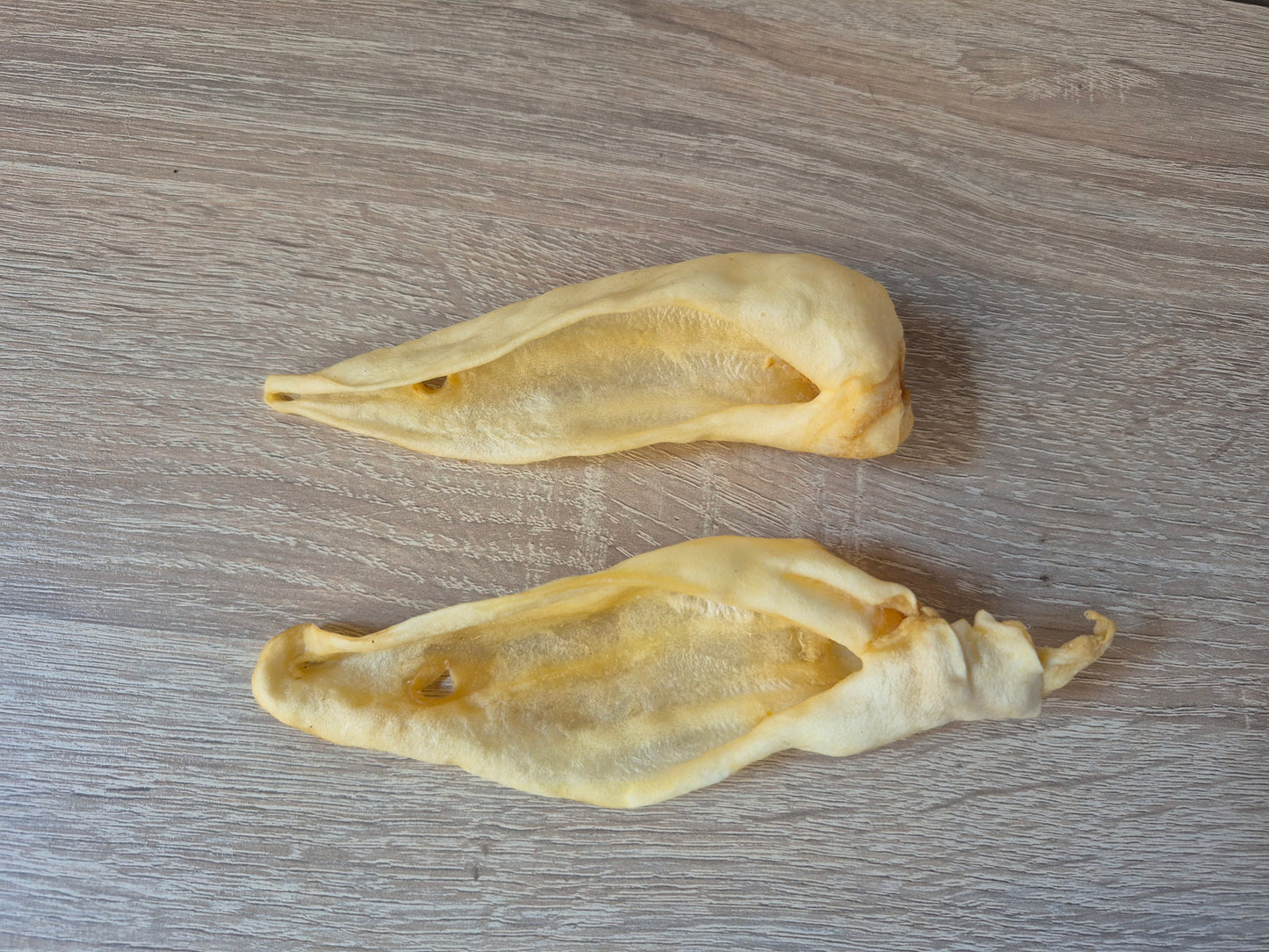 Small Plain Goat Ear