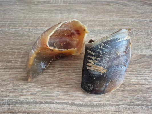 Cow Hoof