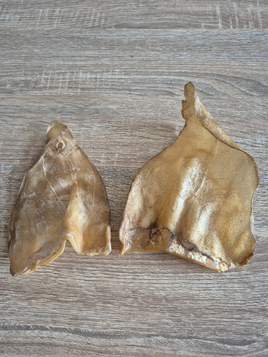 Cows Ear Flap