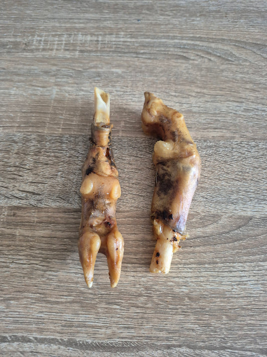 Lamb Foot