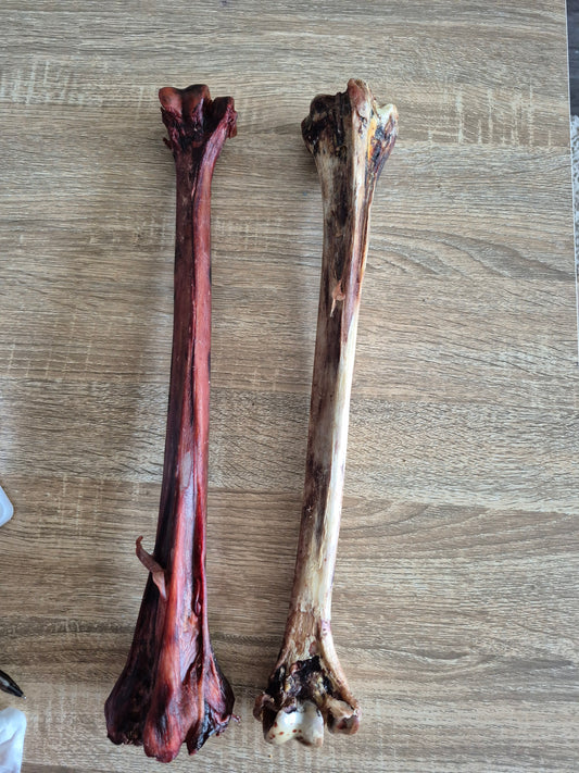 Long Ostrich Bone (50cm)