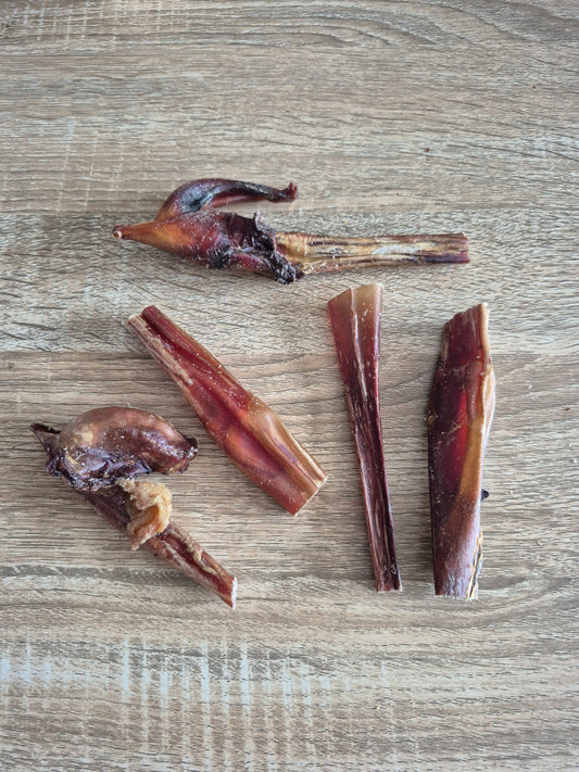 Cut Pizzle Bites (25g)