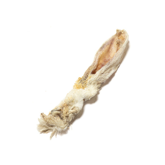 Hairy Rabbit Ear