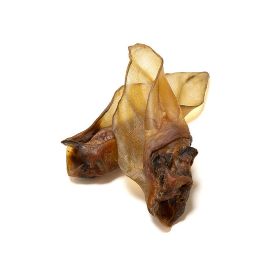Large Cow Ear