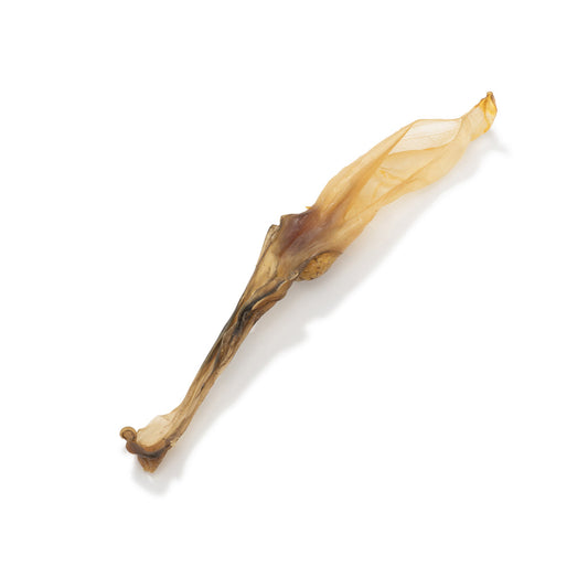 Plain Rabbit Ear