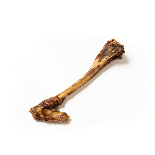 Large Venison (Deer) Bone